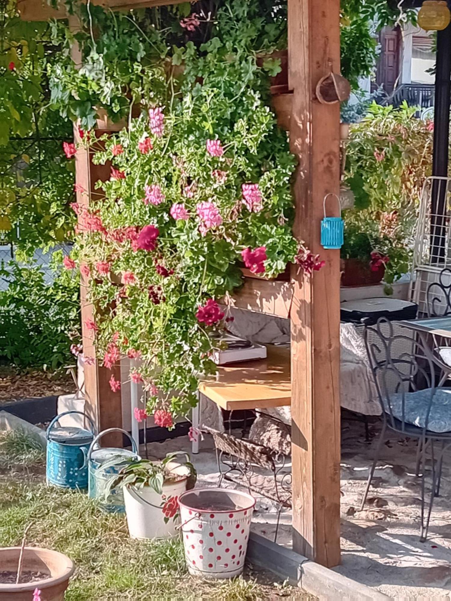 Rose Room 40M2 With Terrace 25M2 In Greeny Area For 4 Person Laibach Exterior foto